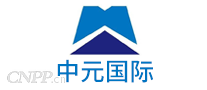 中元国际