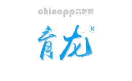 育龙玩具