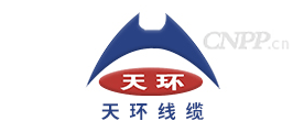 天环