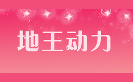 地王动力