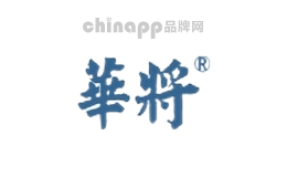 华将灯具