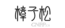 樟子松