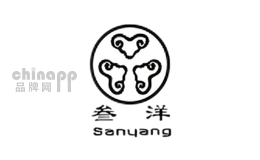叁洋
