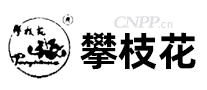 攀枝花油漆