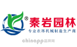 秦岩qinyan