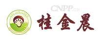 桂金晨