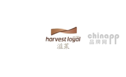 溢莱家具