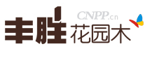 丰胜