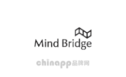 mindbridge