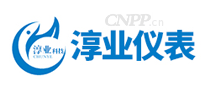 淳业仪表