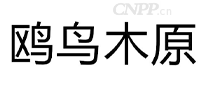 鸥鸟木原
