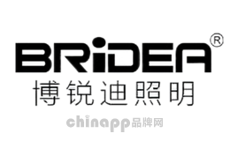 博锐迪BRIDEA