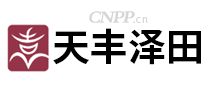天丰泽田