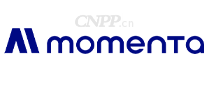 Momenta魔门塔
