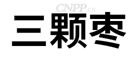 三颗枣SKZ