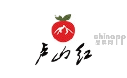 卢山红食品