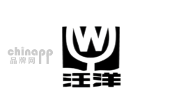 汪洋