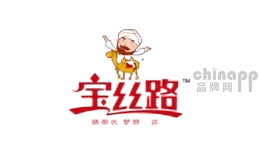 宝丝路