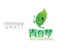 青春梦