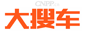 大搜车