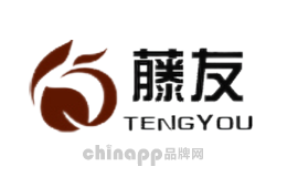 藤友TENGYOU