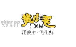 黄小毛