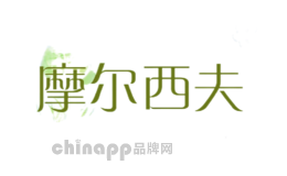 摩尔西夫