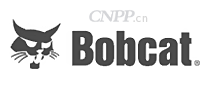 Bobcat山猫