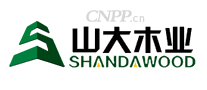 山大SHANDA