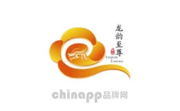 龙韵至尊
