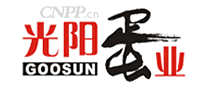 光阳GOOSUN