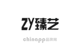 臻艺灯饰