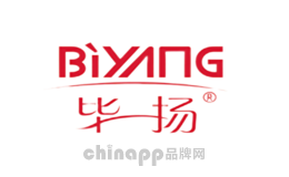 毕扬biyang