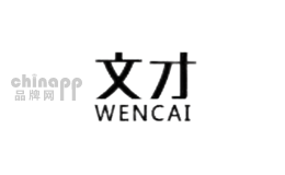 文才