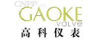 高科仪表