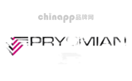 普睿司曼