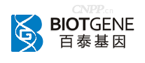 百泰基因BIOTGENE
