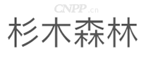 杉木森林