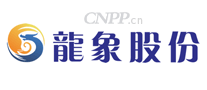龙象股份