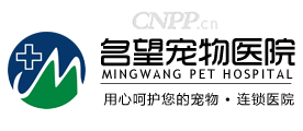 名望宠物医院