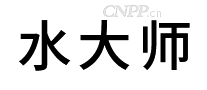 水大师