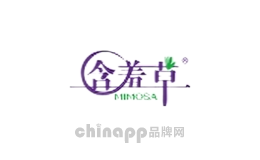 含羞草居家日用