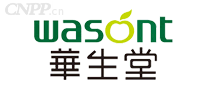 华生堂wasont