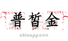 普皙金POCCIKAN