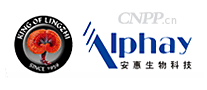 安惠AIphay