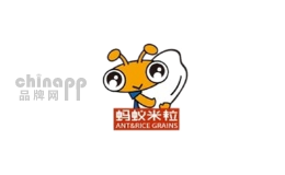 蚂蚁米粒