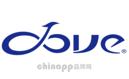 鸽子吉他