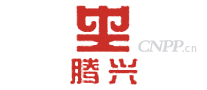 腾兴起重机械