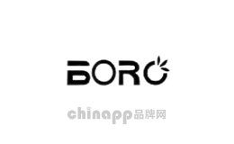 宝岚boro
