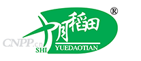 十月稻田